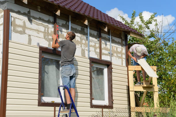 Best Stone Veneer Siding  in Dyer, TN